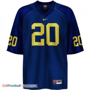 Mike Hart Michigan Wolverines #20 Football Jersey - Navy Blue