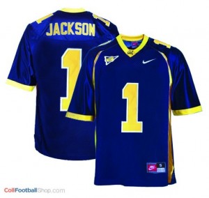 DeSean Jackson California Golden Bears  #1 Football Jersey - Blue