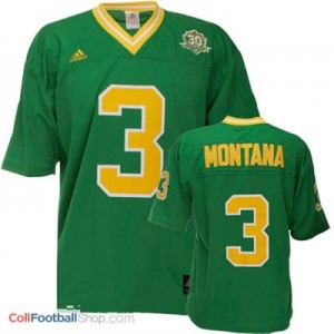 Joe Montana Notre Dame Fighting Irish #3 Football Jersey - Green